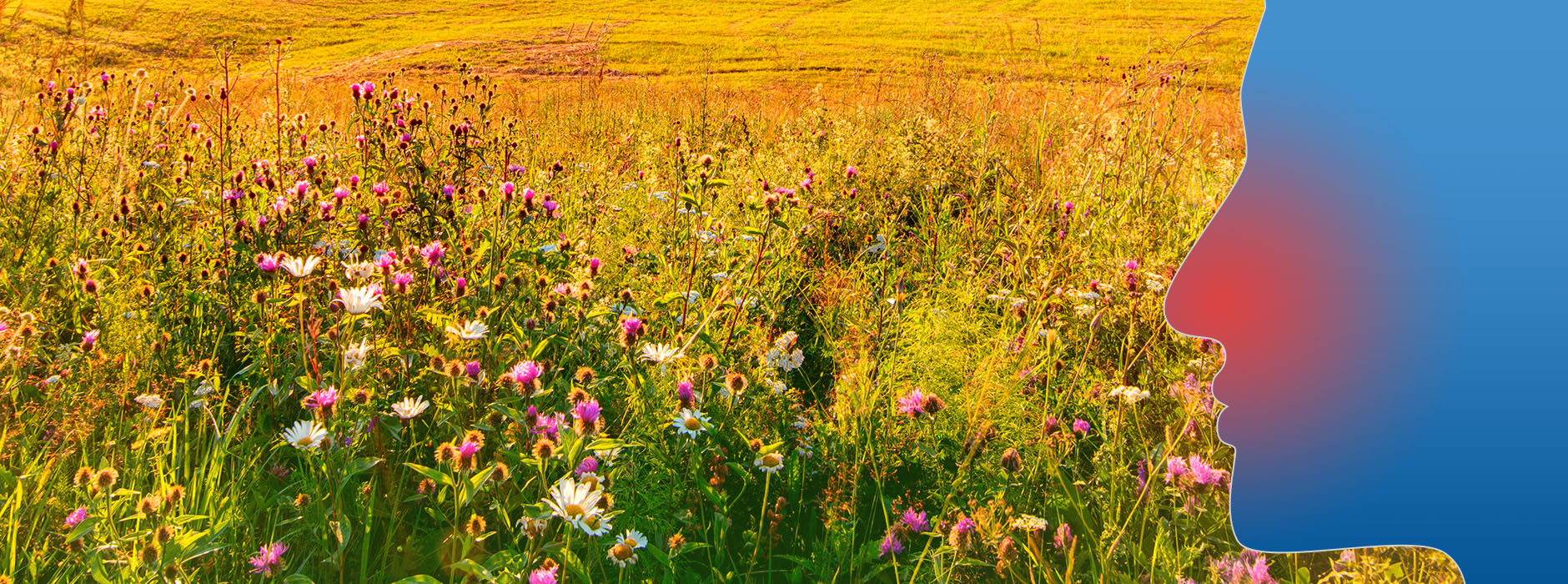 Hővisszanyerős szellőzés: megoldás allergia ellen!